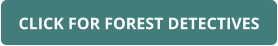 CLICK FOR FOREST DETECTIVES