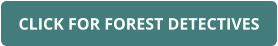 CLICK FOR FOREST DETECTIVES